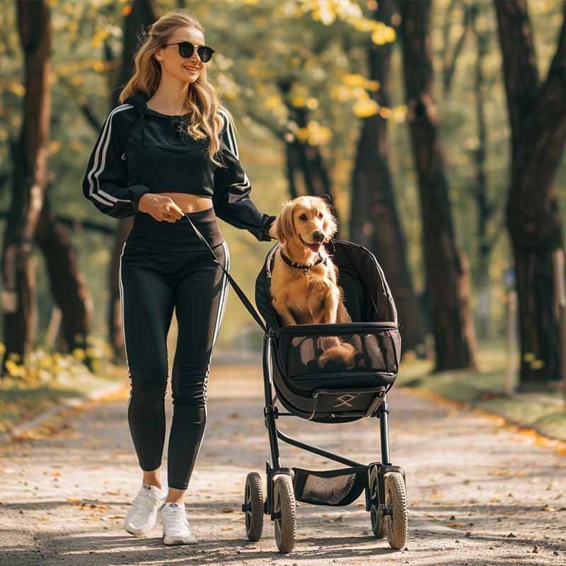 dog stroller with golden retriever